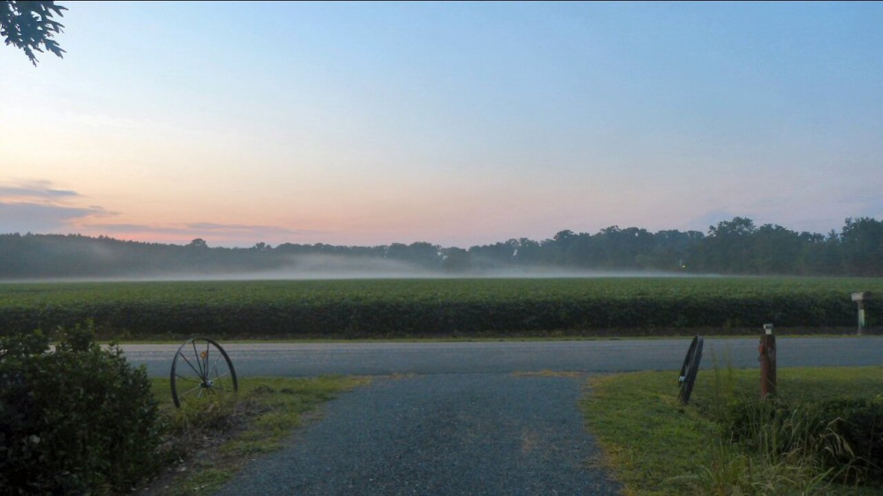 Peace And Quiet in the country?