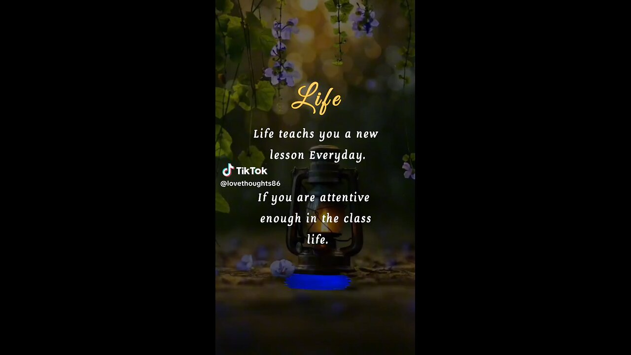 Life is a teach you a new lessen every day