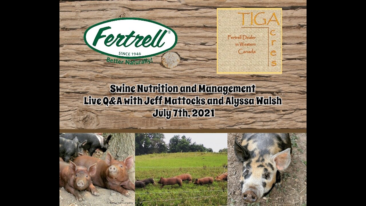 Swine Nutrition and Management, Live Q&A With Jeff Mattocks and Alyssa Walsh, July 7th, 2021