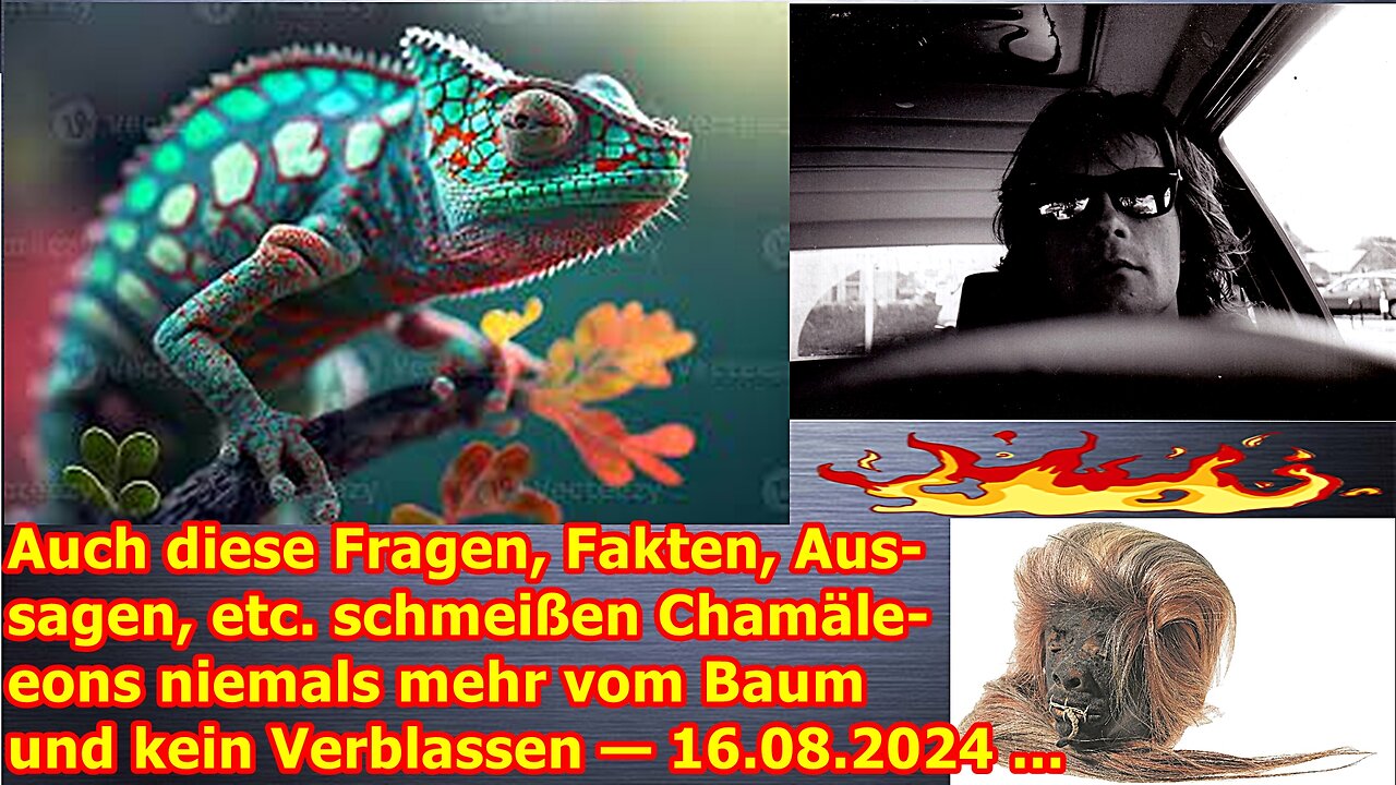 Auch diese Fragen, Fakten, Aussagen, etc. schmeißen Chamäleons niemals mehr vom Baum — 16.08.24 ...