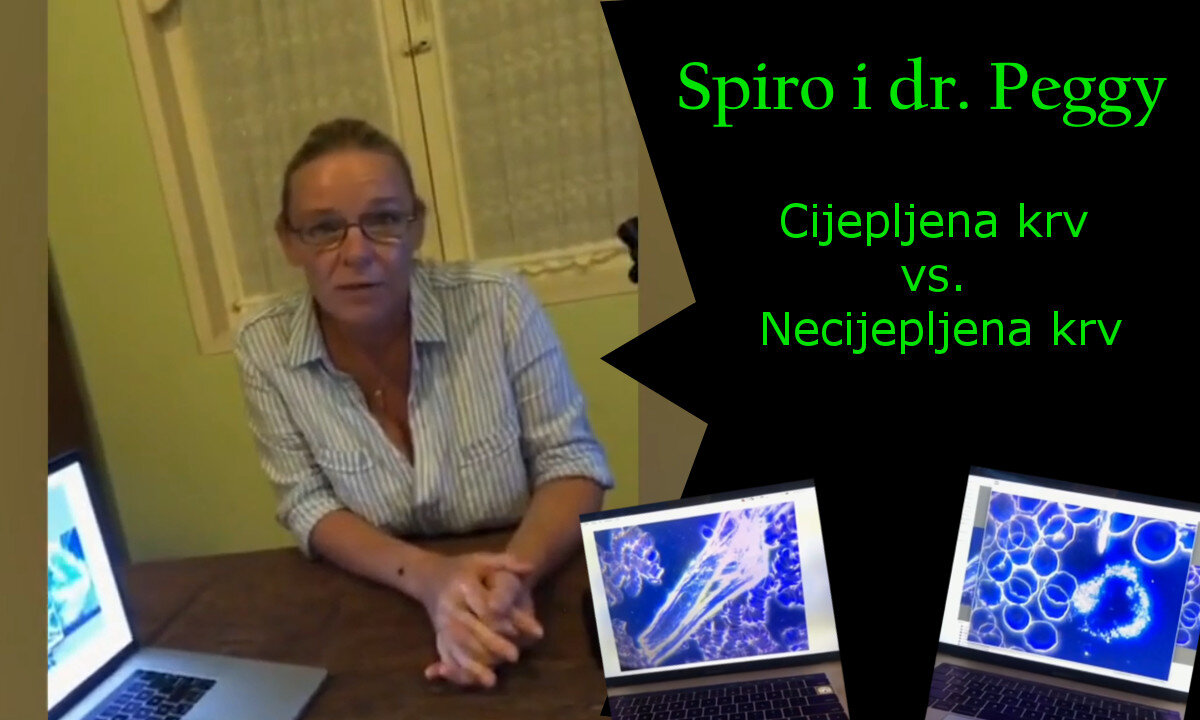 Spiro i dr. Peggy Cijepljena krv vs Necijepljena krv