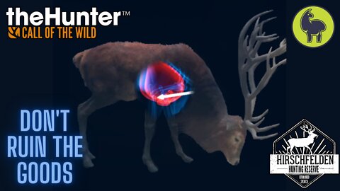 The Hunter: Call of the Wild, Fleischer- Don't Ruin the Goods, Hirschfelden (PS5 4K)