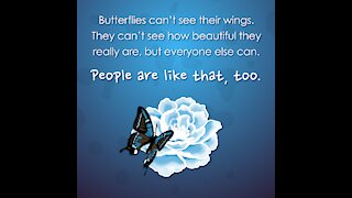 Butterflies And Beauty [GMG Originals]