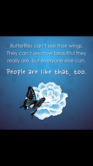 Butterflies And Beauty [GMG Originals]