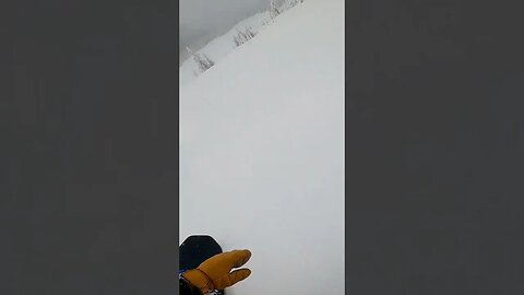Enjoying the turns #short #shorts #snowboarding #snowboard #powder #pow