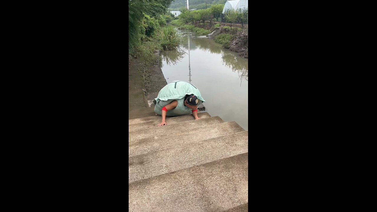 Lazy turtles/Tiktok funny videos