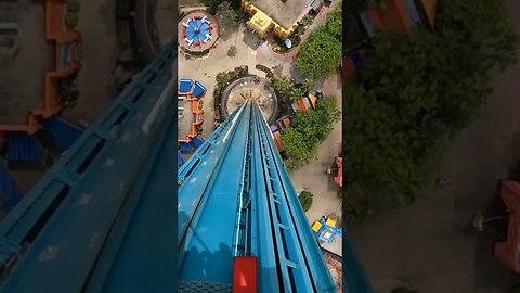 Falcons Fury #buschgardenstampa #buschgardens #falconsfury