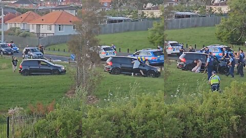 Gun Wrested Off Gang Member in Arrest Drama