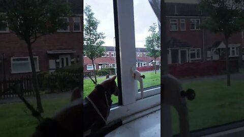 morning view 😍 with a bit of Taylor swift in the background 😍