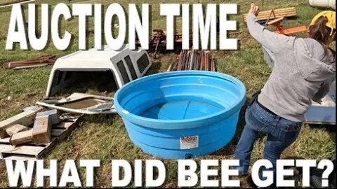 AUCTION TIME- Through BEE's eyes.