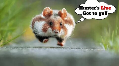 🔴#live We Reached Our GOAL [252/250] GIVEAWAY