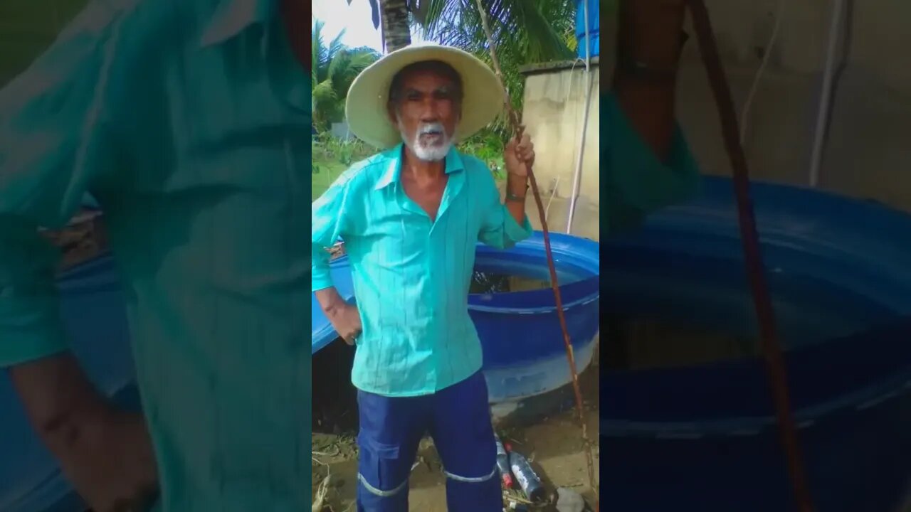 20 de novembro de 2022