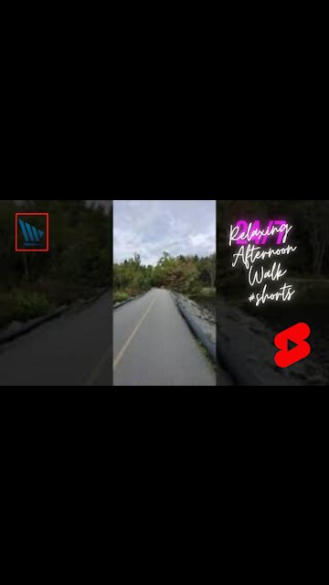 Relaxing Afternoon Walk #shorts