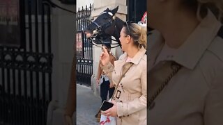 The kings guard horse pulling a funny face #horseguardsparade