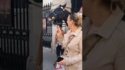 The kings guard horse pulling a funny face #horseguardsparade