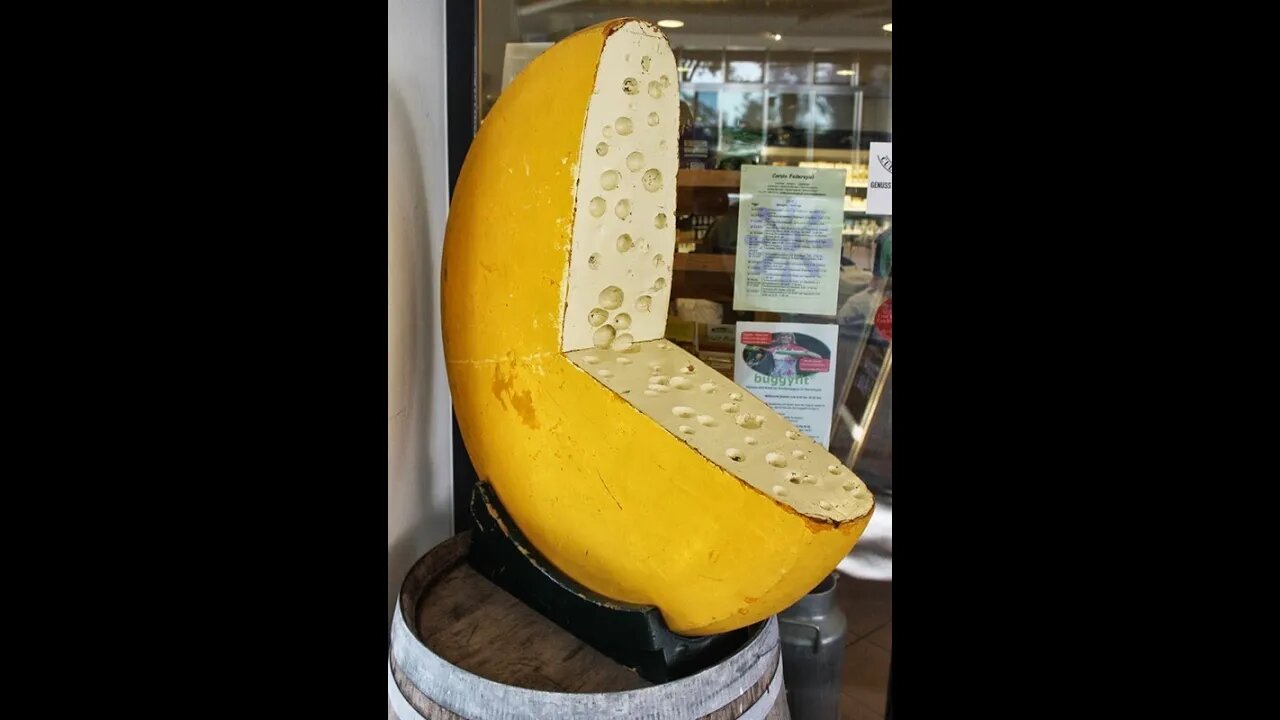 Cheese Race 2023: Concussion, no regrets, and remembers...