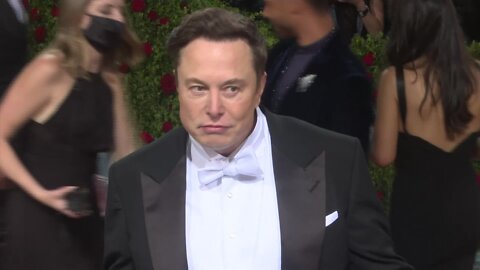 Elon Musk Walk the Red Carpet With His Mom