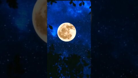 the best relaxing sleep #shorts #trending