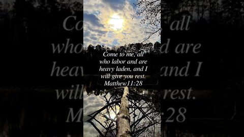 Matthew 28:11 #labor #heavyladen #rest #jesus #christian #bible #shorts