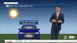 National hot car deaths and what happens to vehicles in the sun