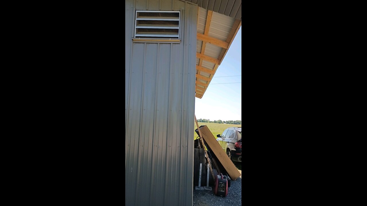 Garden Shed progress