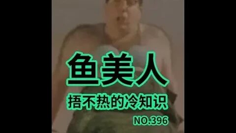 那麼問題來了，這和你印象中的「魚美人」是否一樣呢？#冷知識#美人魚#每天冷知識 #shorts