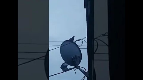 Thought they were doing construction at 6am on a Sunday