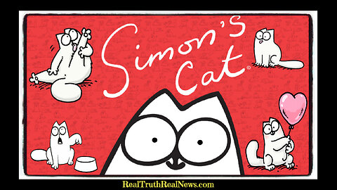 😻 "Simon's Cat" ⋆🐾° A Fun Collection Most Cat Lovers and Owners Can Relate To 💖