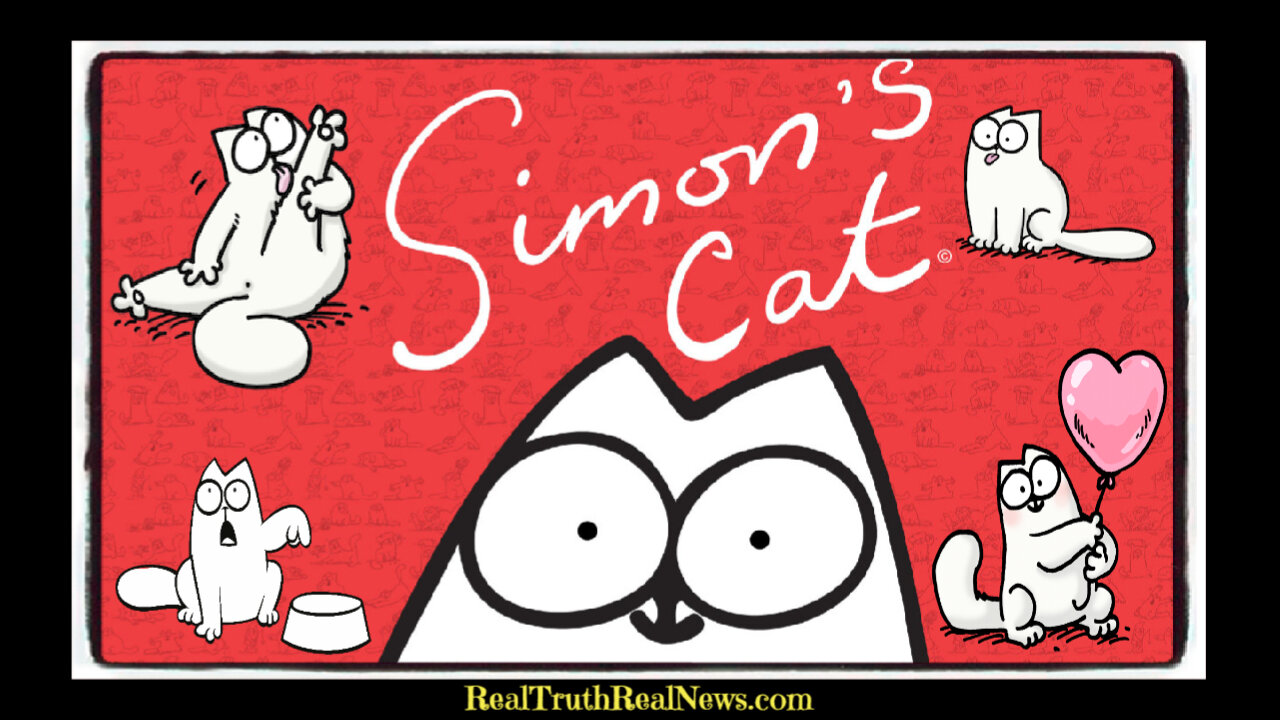 😻 "Simon's Cat" ⋆🐾° A Fun Collection Most Cat Lovers and Owners Can Relate To 💖