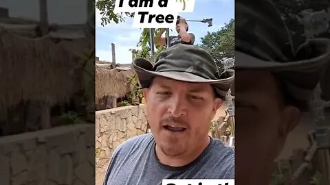 I am a Tree 🌴 Movie Magic Small Town America #filmmaking