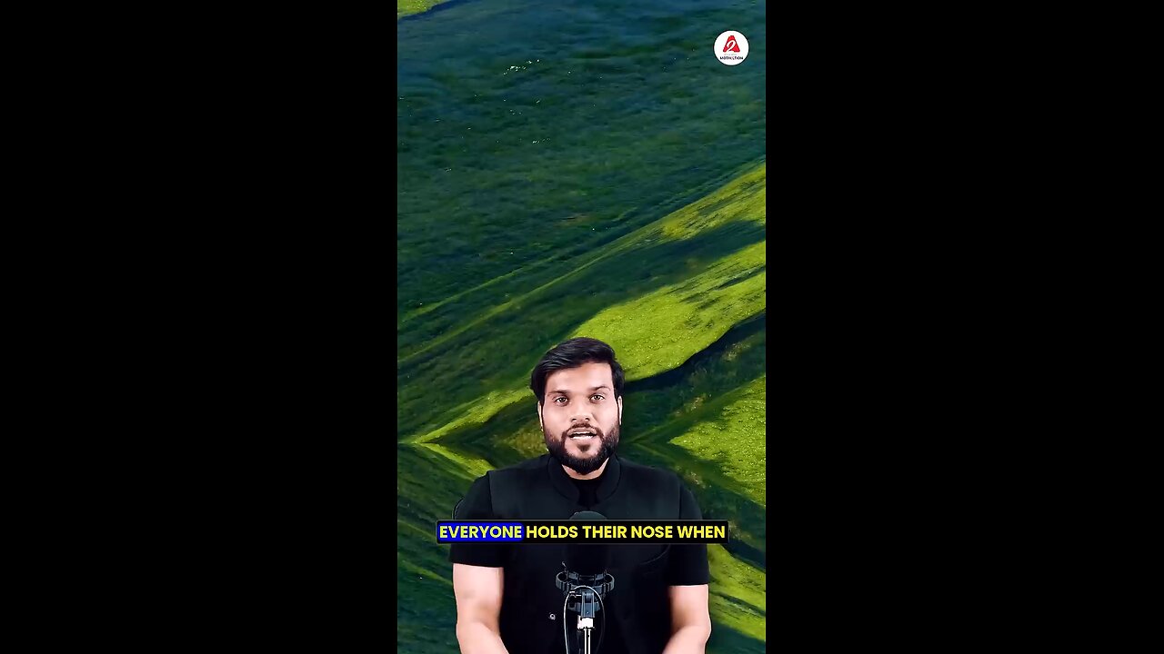 Benefits of Spairuluna #health