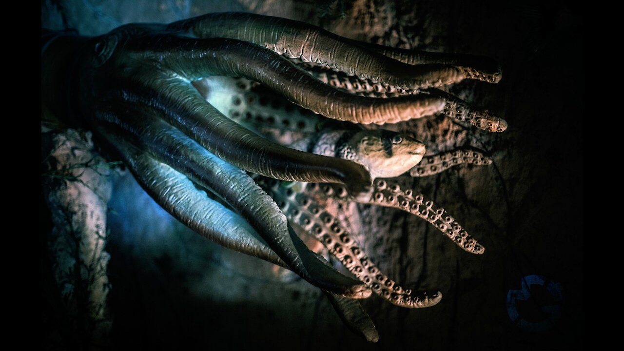 MOST DANGEROUS OCEAN CREATURES IN THE WORLD