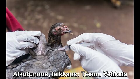 Teemu Vehkala Show #113 - Siipikarjan koronarokotukset alkoivat (linkki jaksoon alla)