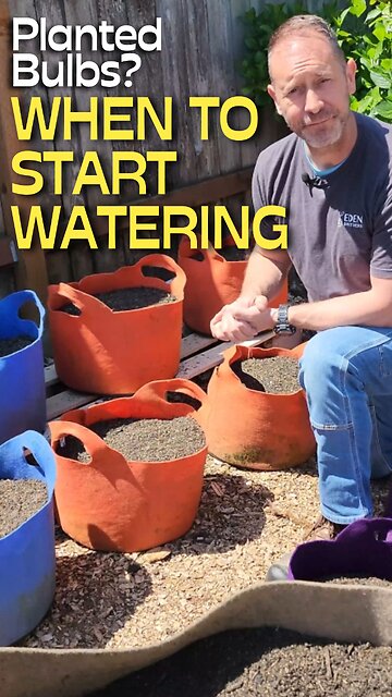 Don't Water Your Bulbs Without Checking This First!