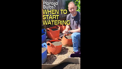 Don't Water Your Bulbs Without Checking This First!
