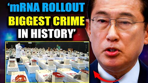 🚨 Japan Launches COVID mRNA Vaccine Taskforce To Investigate 'Crimes Against Humanity' 🇯🇵