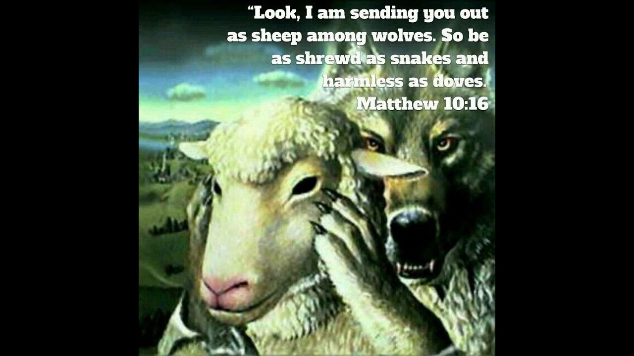 Revelations with Watchman44- "I Am Sending You Out as Sheep Among Wolves" 8/5/24