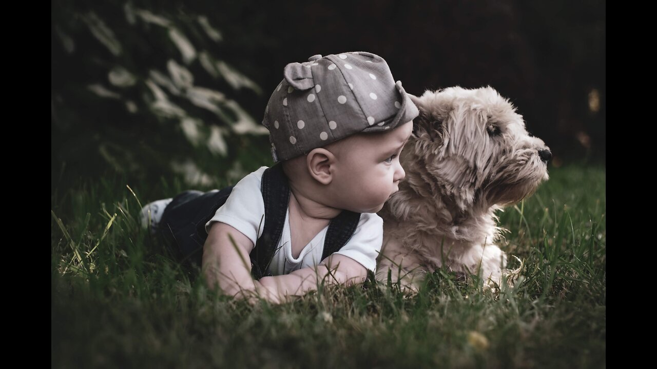 The Cutest Kids and Animals