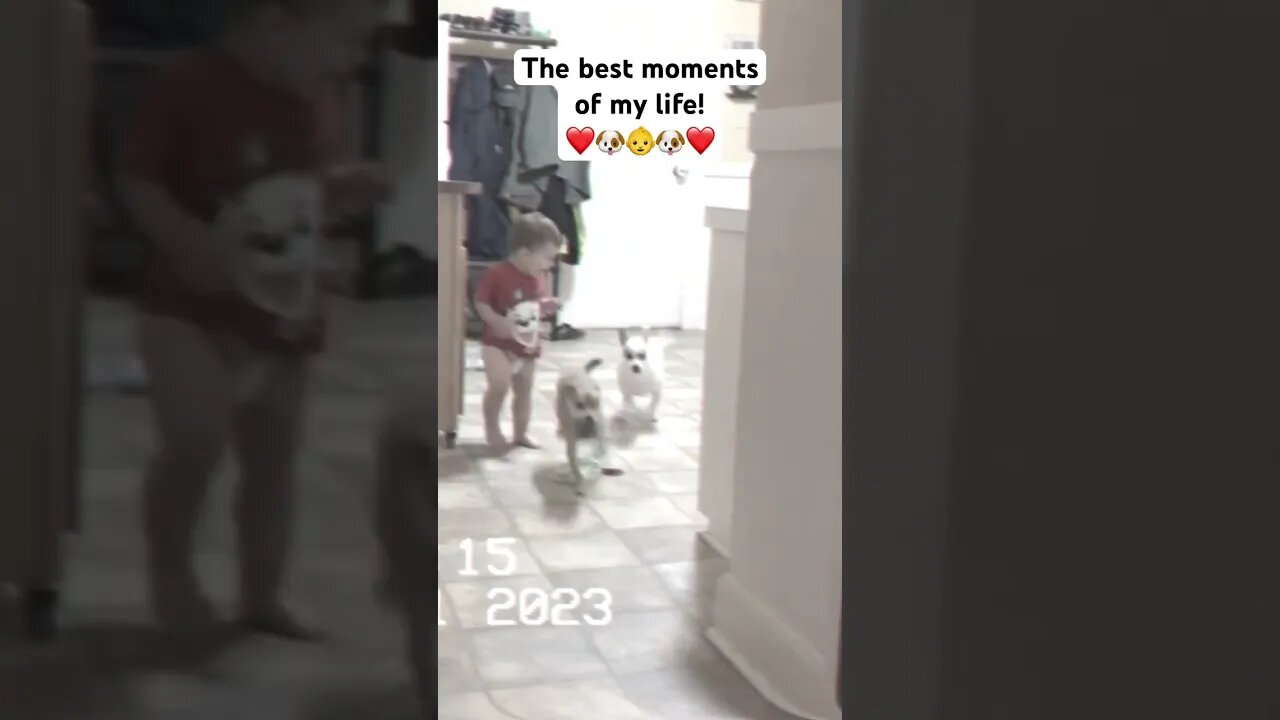 The BEST Moments of My Life ❤️ #shorts
