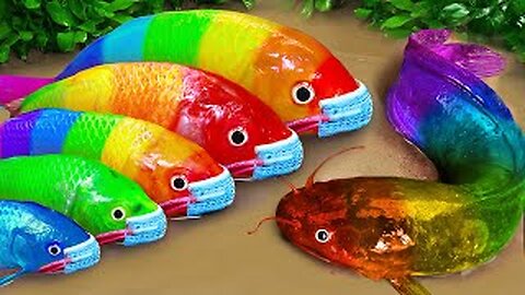 SATISFYING I ASMR Battle Fish Stop Motion