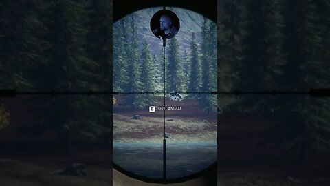 300m wolf hit #callofthewild #thehuntercallofthewild #cotw #mrandmrswolfgaming #shorts