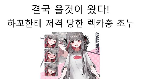 올것이 왔다 마침내 하꼬 버튜버에게 저격당한 렉카충 조누 1편