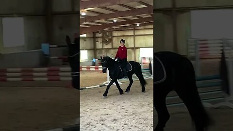 Erika helping Brenda and Apollo