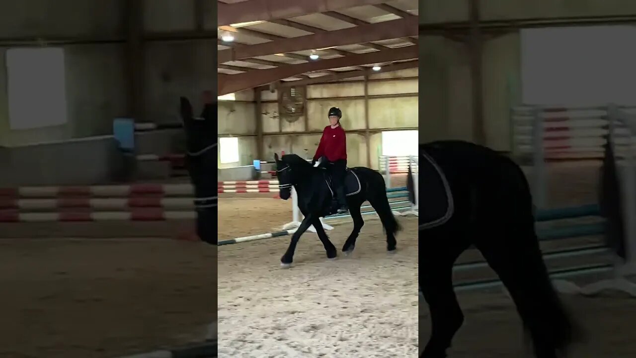 Erika helping Brenda and Apollo