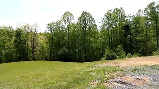 Updates from the Homestead today.