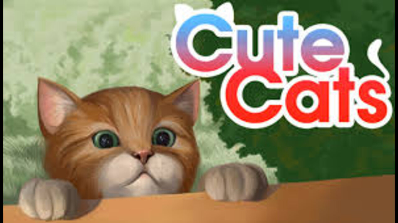 Funny Cats try not to laugh 😹 funniest cat videos