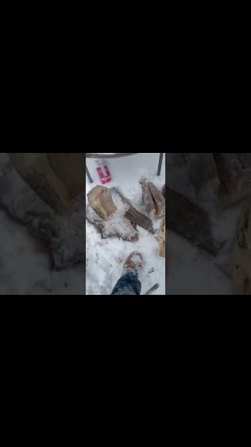 Fire wood after the snowstorm