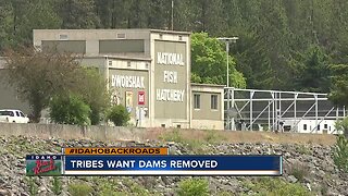 Pacific Northwest tribes: Remove Columbia River dams