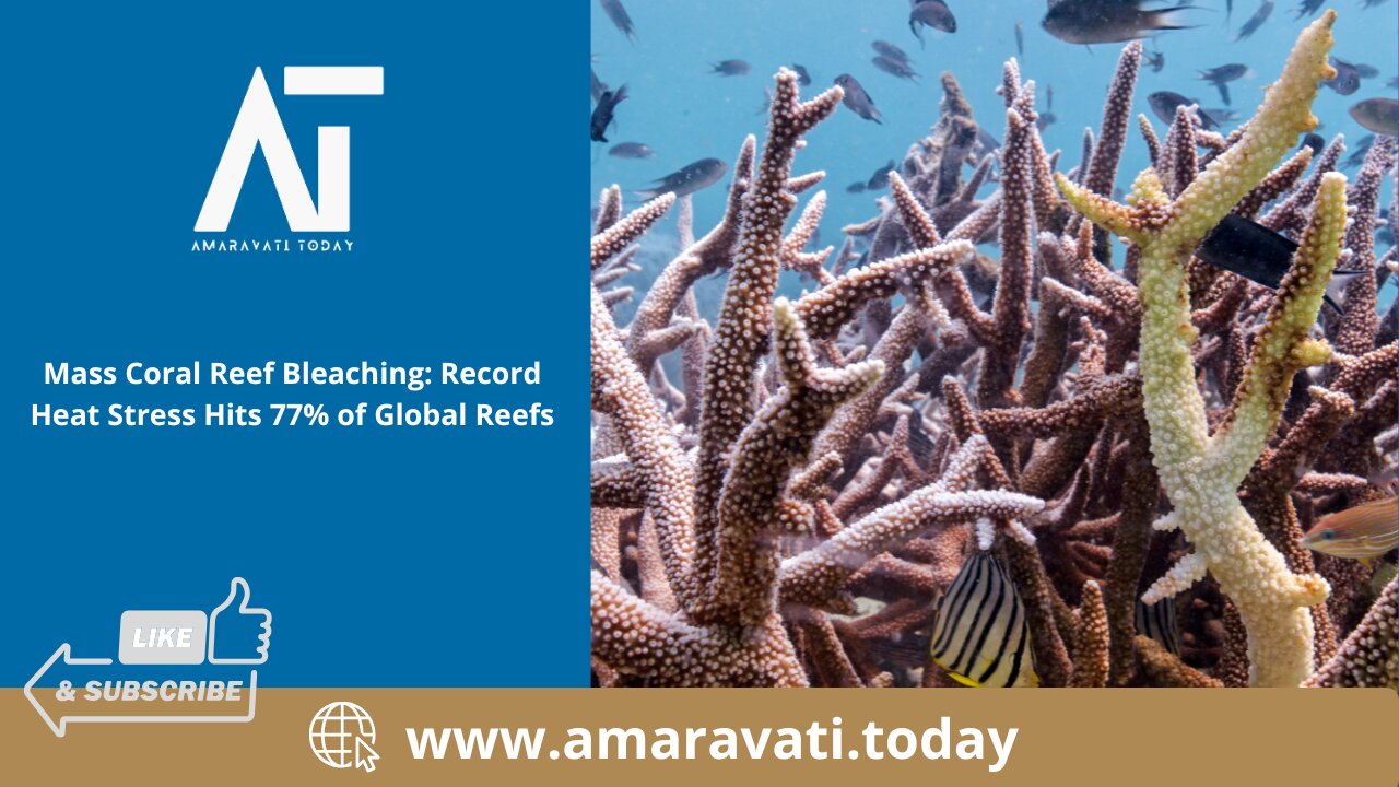 Mass Coral Reef Bleaching Record Heat Stress Hits 77% of Global Reefs | Amaravati Today