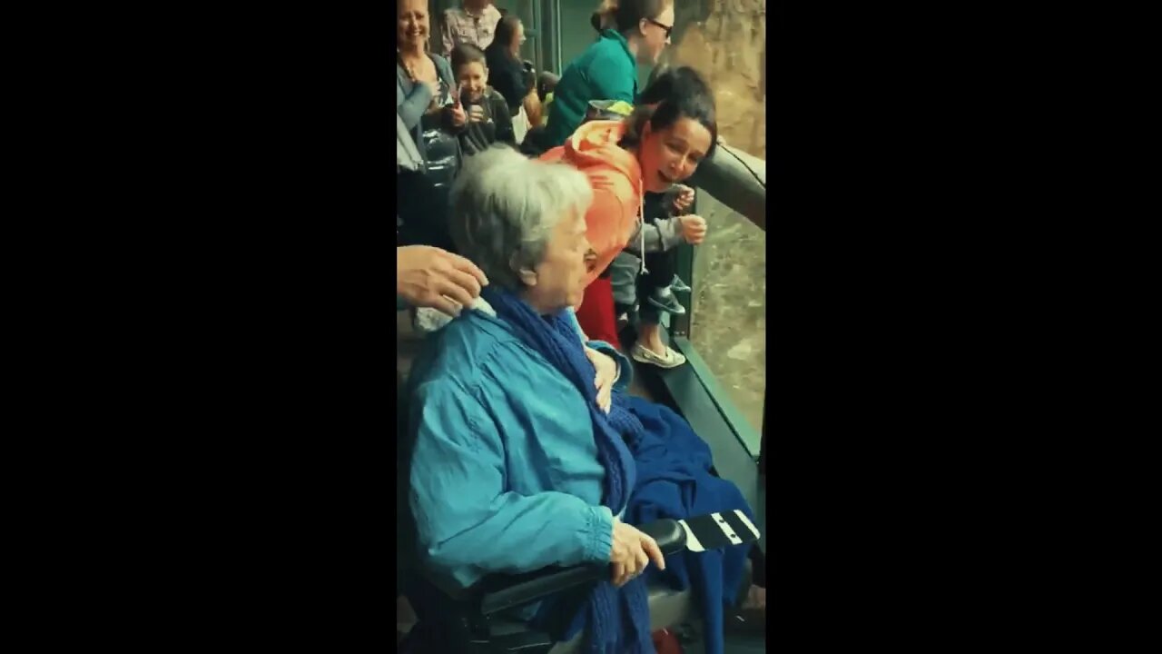 COMÉDIA - Macaco do ZOO jogando merda nos visitantes